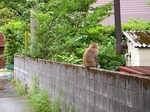 s-DSCN0300.jpg